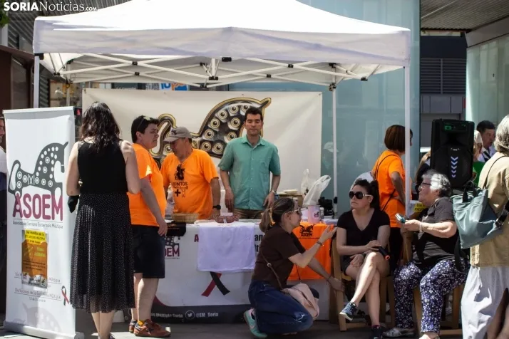 FOTOS | C&aacute;lida acogida a la jornada solidaria de ASOEM