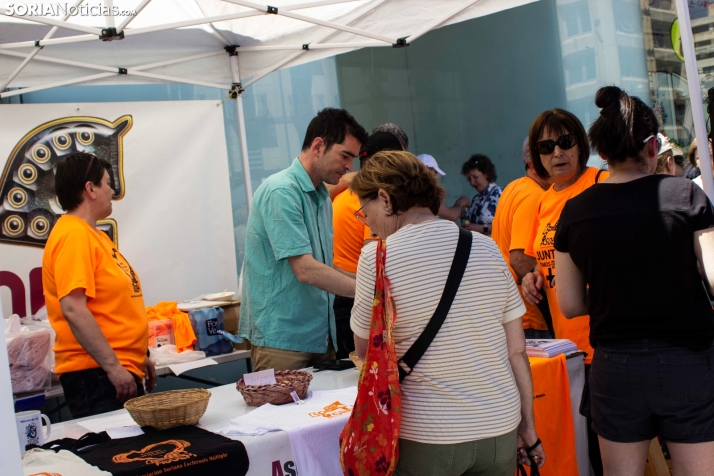 FOTOS | C&aacute;lida acogida a la jornada solidaria de ASOEM