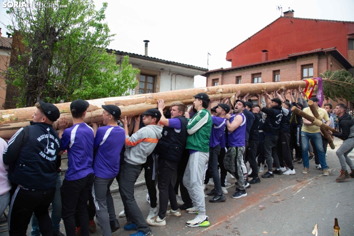 Pingada del Mayo 2025 San Leonardo