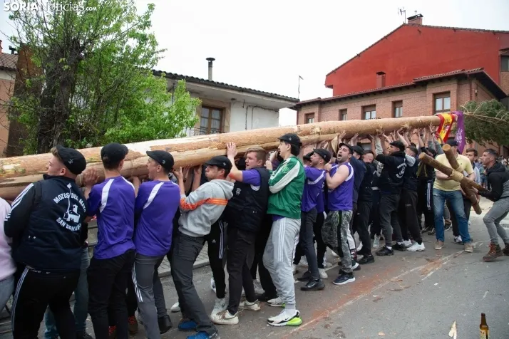 Pingada del Mayo 2025 San Leonardo