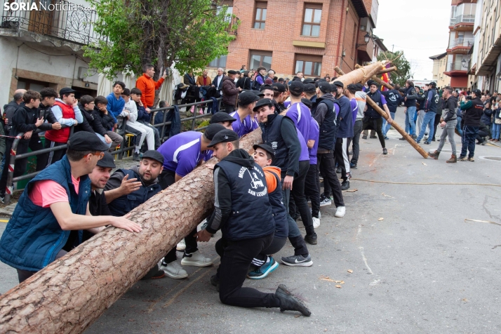 Pingada del Mayo 2025 San Leonardo