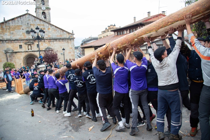 Pingada del Mayo 2025 San Leonardo