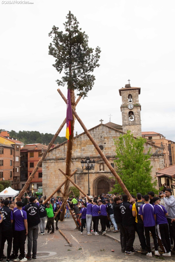 Pingada del Mayo 2025 San Leonardo