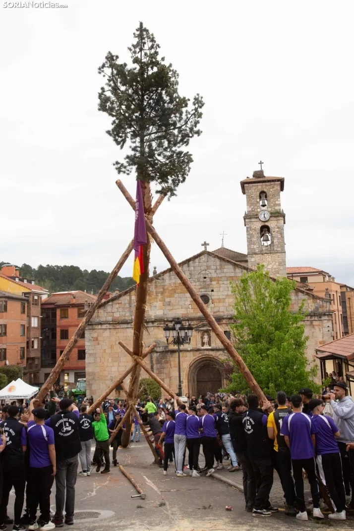 Pingada del Mayo 2025 San Leonardo