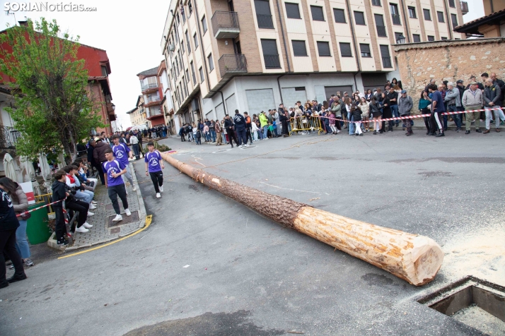 Pingada del Mayo 2025 San Leonardo
