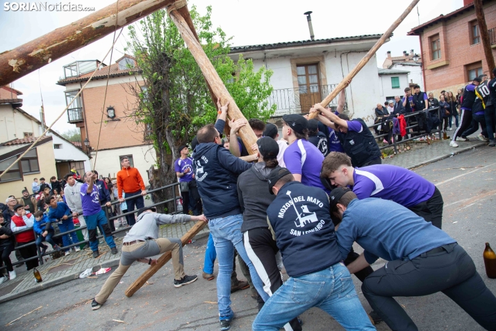 Pingada del Mayo 2025 San Leonardo