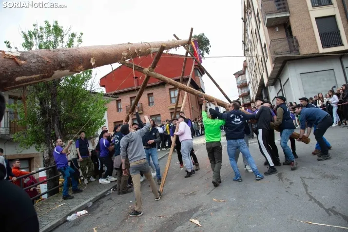 Pingada del Mayo 2025 San Leonardo