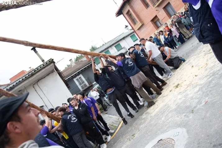 Pingada del Mayo 2025 San Leonardo