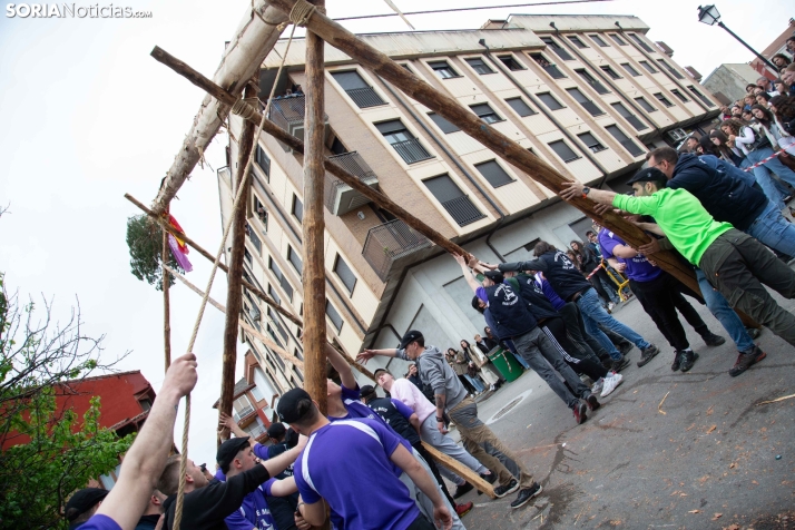 Pingada del Mayo 2025 San Leonardo