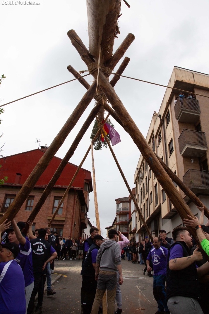 Pingada del Mayo 2025 San Leonardo