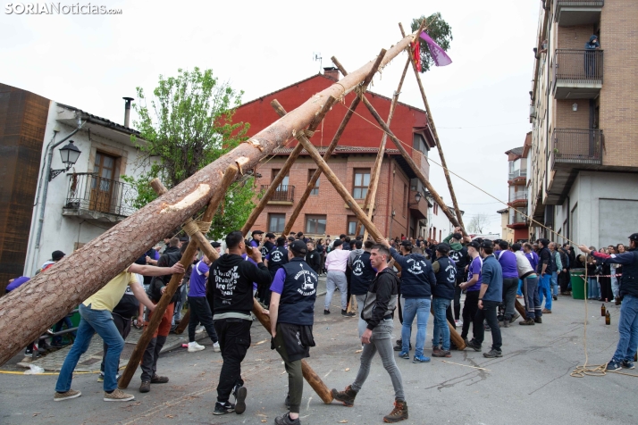 Pingada del Mayo 2025 San Leonardo