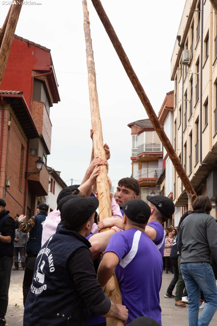 Pingada del Mayo 2025 San Leonardo