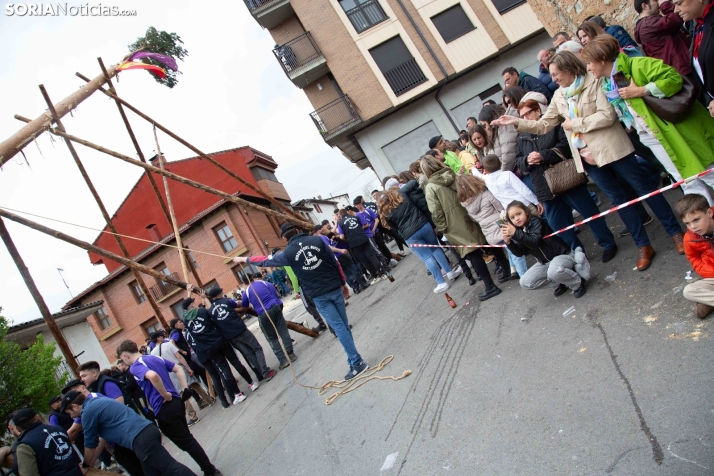 Pingada del Mayo 2025 San Leonardo