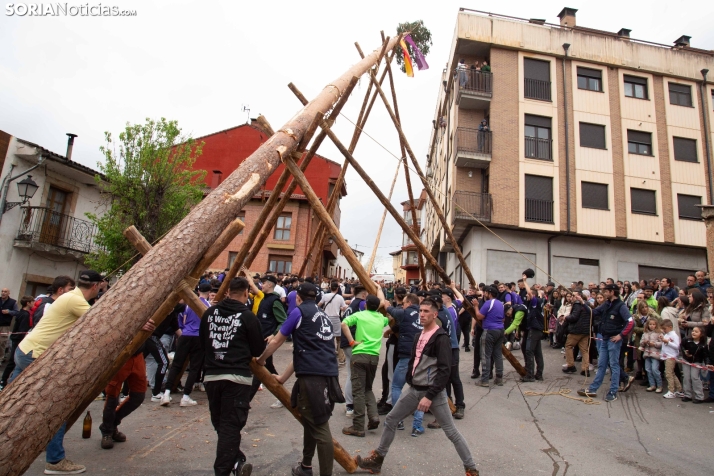 Pingada del Mayo 2025 San Leonardo
