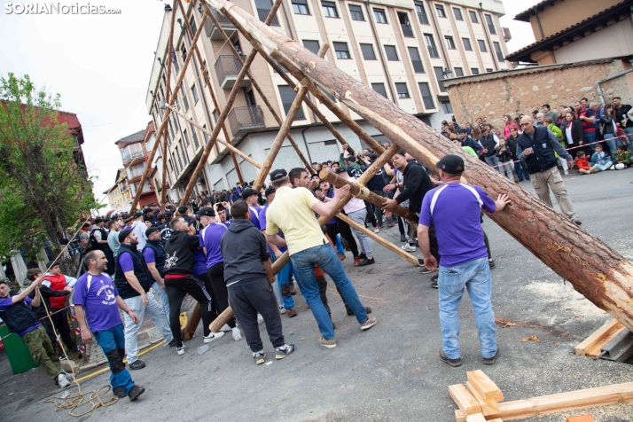 Pingada del Mayo 2025 San Leonardo