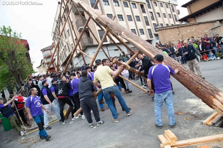 Pingada del Mayo 2025 San Leonardo