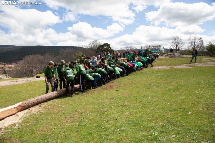 Pingada del Mayo en Covaleda 2025