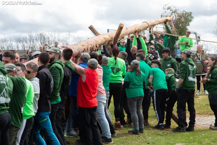 Pingada del Mayo en Covaleda 2025