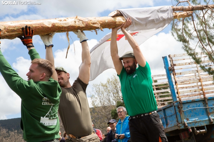 Pingada del Mayo en Covaleda 2025