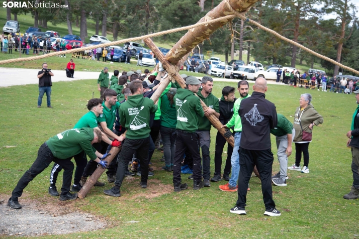 Pingada del Mayo en Covaleda 2025