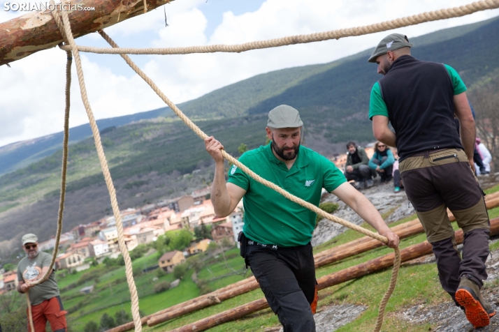 Pingada del Mayo en Covaleda 2025