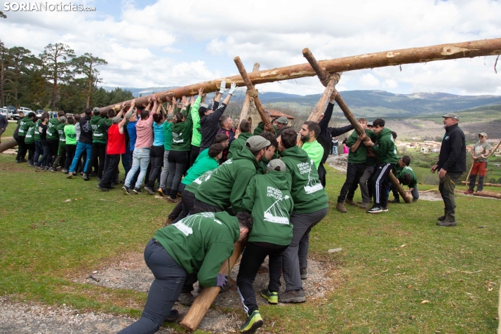 Pingada del Mayo en Covaleda 2025