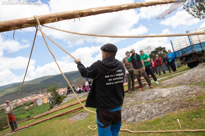 Pingada del Mayo en Covaleda 2025