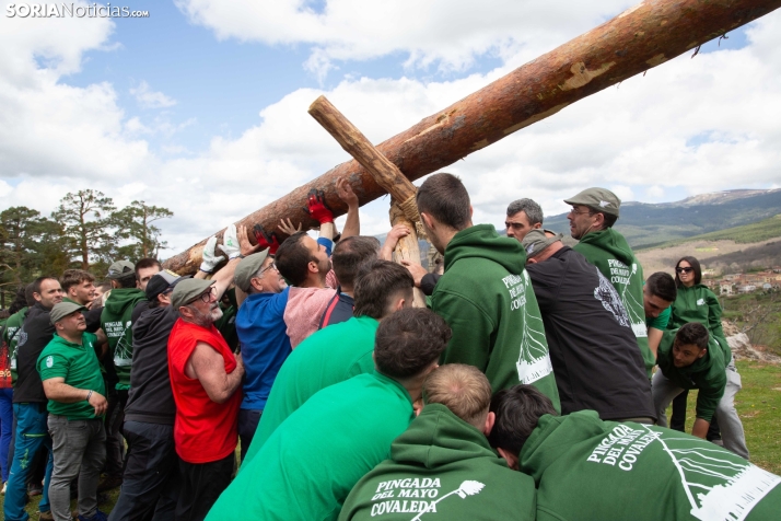 Pingada del Mayo en Covaleda 2025