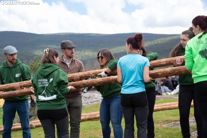 Pingada del Mayo en Covaleda 2025