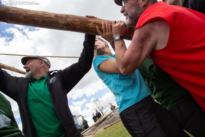 Pingada del Mayo en Covaleda 2025