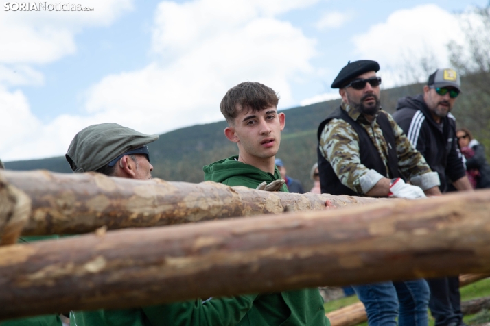 Pingada del Mayo en Covaleda 2025