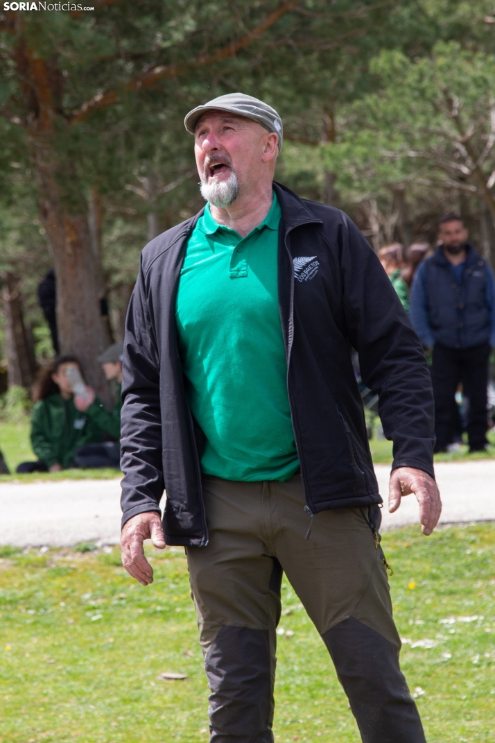 Pingada del Mayo en Covaleda 2025