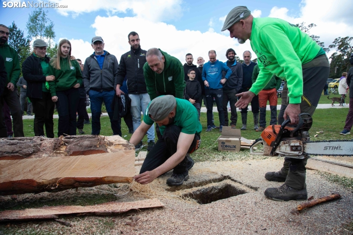 Pingada del Mayo en Covaleda 2025