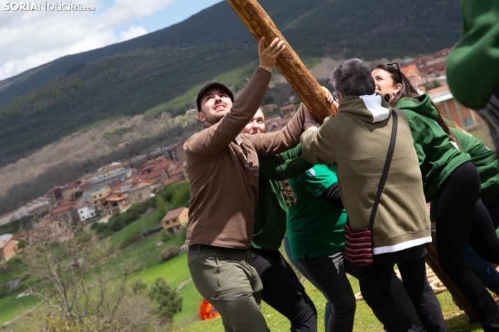 Pingada del Mayo en Covaleda 2025