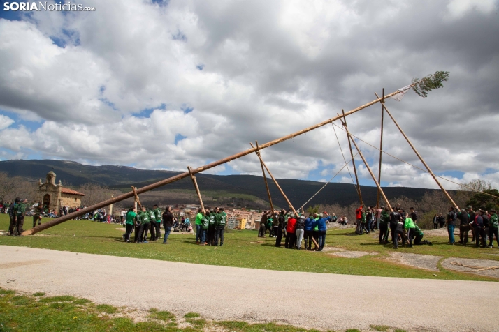 Pingada del Mayo en Covaleda 2025
