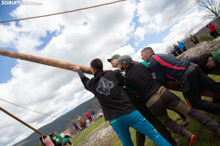 Pingada del Mayo en Covaleda 2025