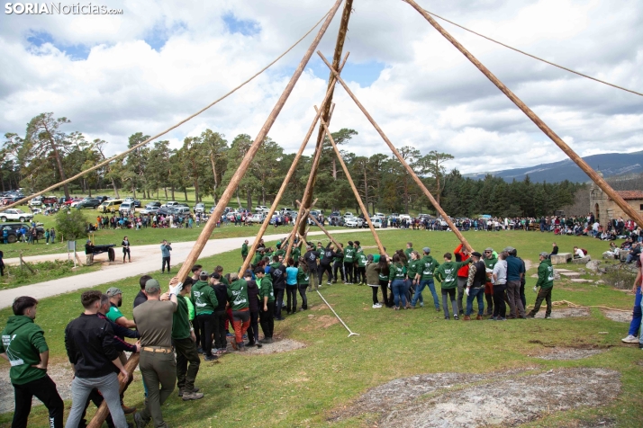 Pingada del Mayo en Covaleda 2025