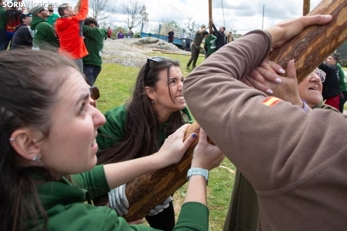 Pingada del Mayo en Covaleda 2025