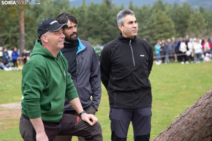 Pingada del Mayo en Covaleda 2025