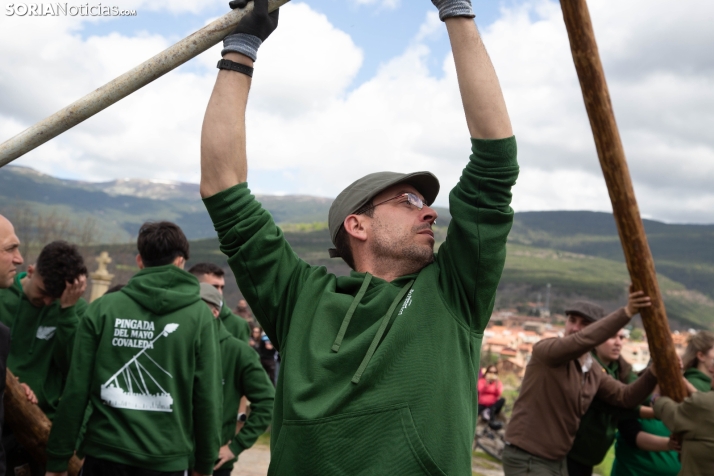 Pingada del Mayo en Covaleda 2025