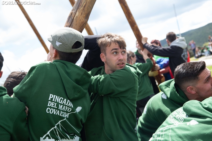 Pingada del Mayo en Covaleda 2025