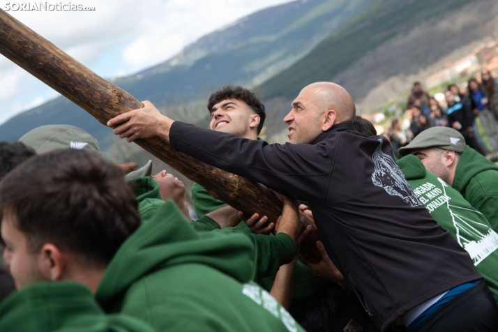 Pingada del Mayo en Covaleda 2025