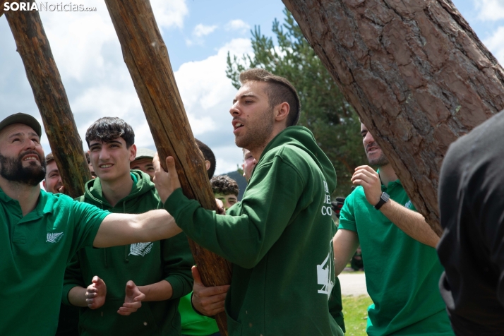Pingada del Mayo en Covaleda 2025