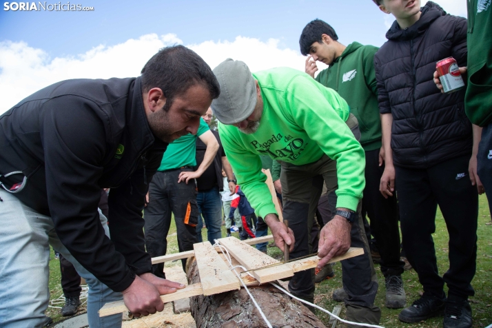 Pingada del Mayo en Covaleda 2025
