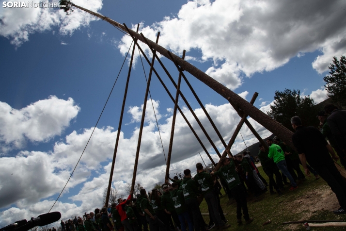 Pingada del Mayo en Covaleda 2025