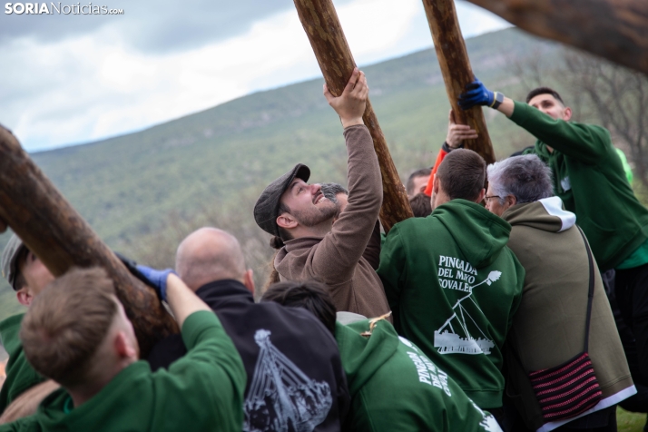 Pingada del Mayo en Covaleda 2025