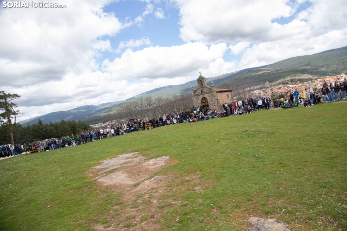 Pingada del Mayo en Covaleda 2025