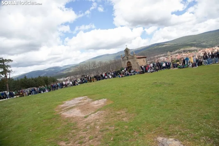 Pingada del Mayo en Covaleda 2025