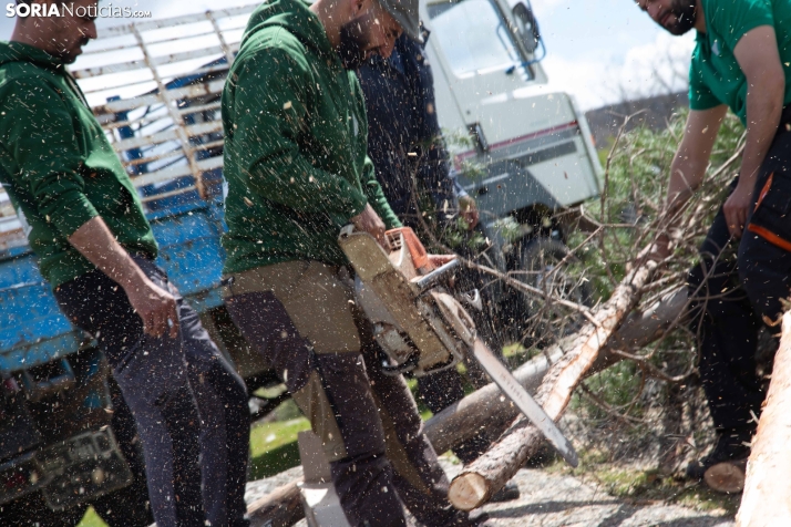 Pingada del Mayo en Covaleda 2025