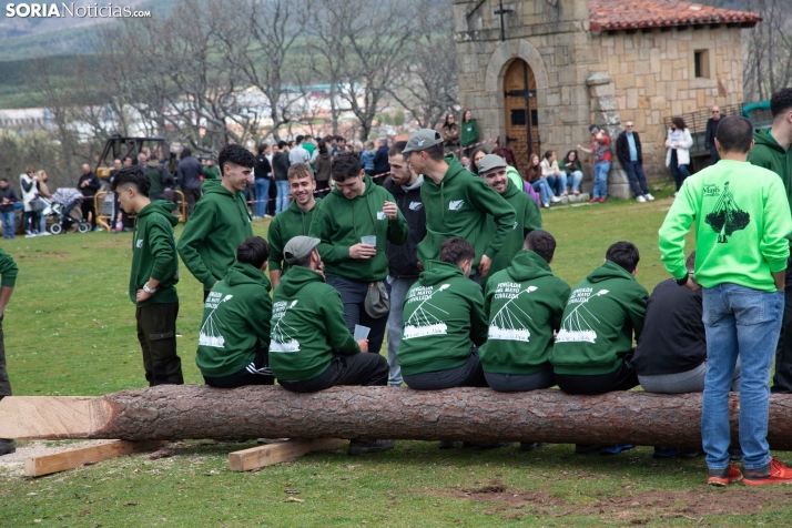Pingada del Mayo en Covaleda 2025
